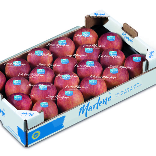 Manzana Fuji img0