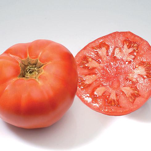 Tomate Marmande ECO