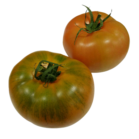 Tomate Rambo