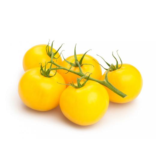 Tomate Amarillo