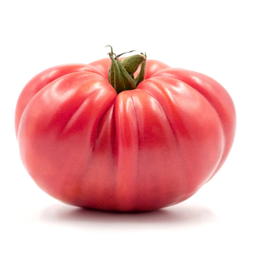 Tomate Rosa