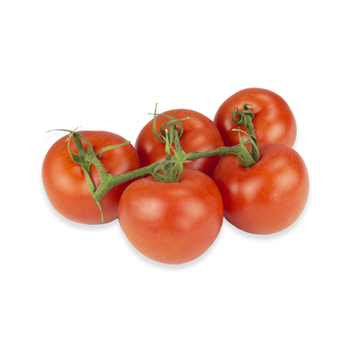 Tomate Rama ECO