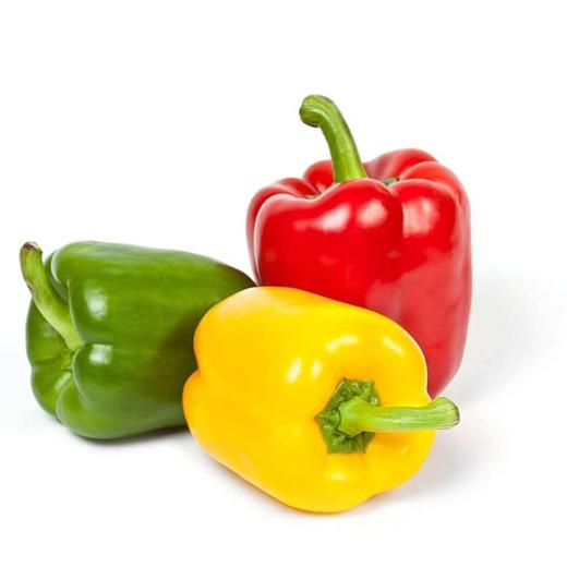 Pimiento Tricolor img0
