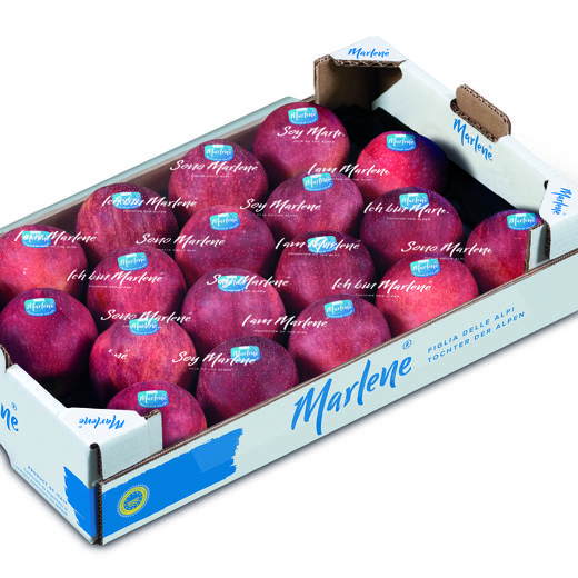 Manzana Gala img0
