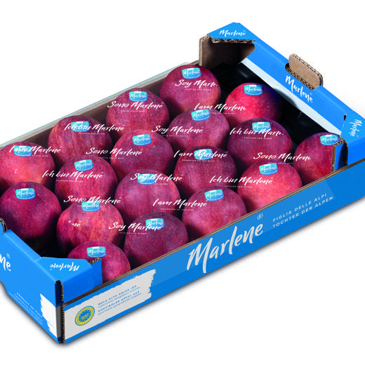 Manzana Gala img2