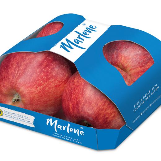 Manzana Gala img1