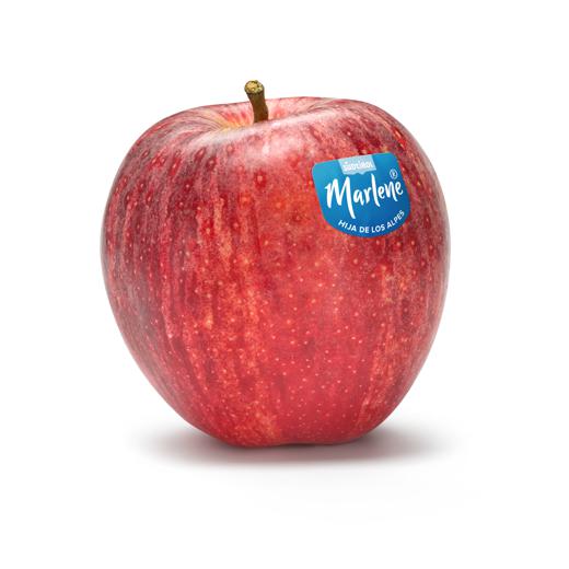 Manzana Gala img3