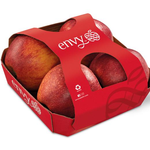 Manzana ENVY img2