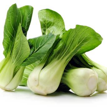 Col China (Pak Choi)