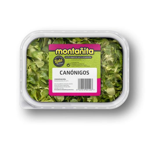 Canónigos