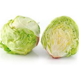 Lechuga Iceberg