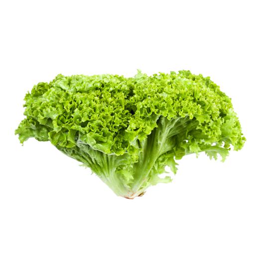 Lechuga Lollo Verde