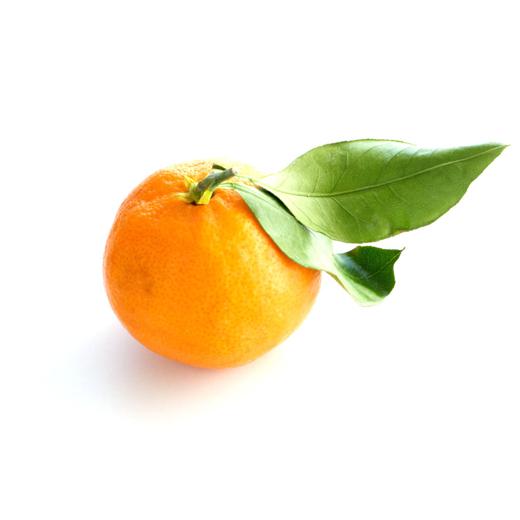 Mandarina Fortuna