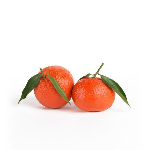 Mandarina Oronules