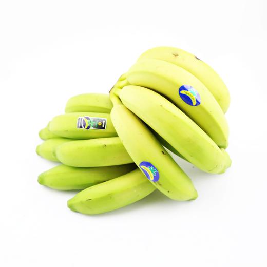 Platano de Canarias COPLACA img1