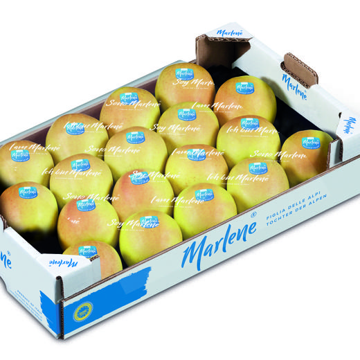 Manzana Golden Delicius img1