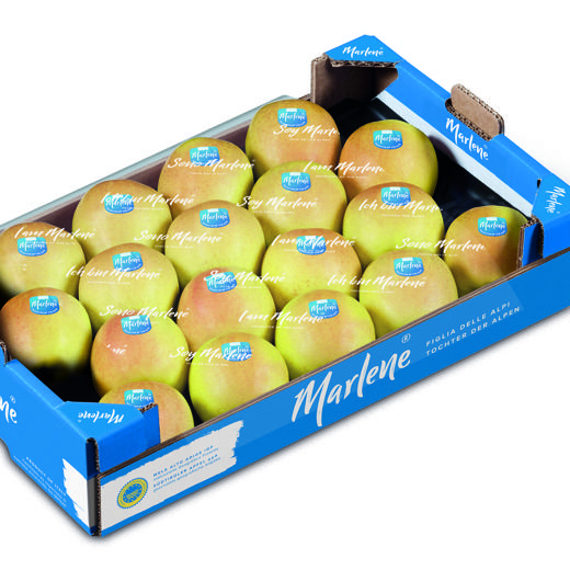 Manzana Golden Delicius img0
