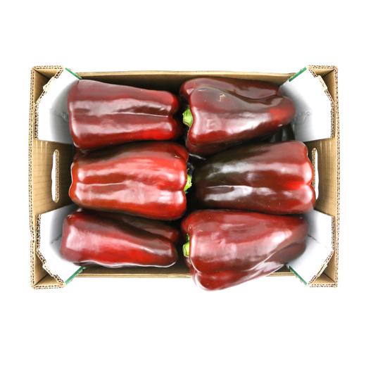 Pimiento Lamuyo Rojo img2