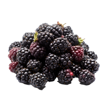 Moras