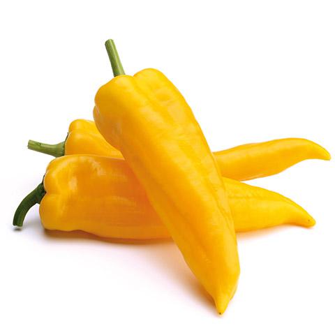 Pimiento Italiano Amarillo