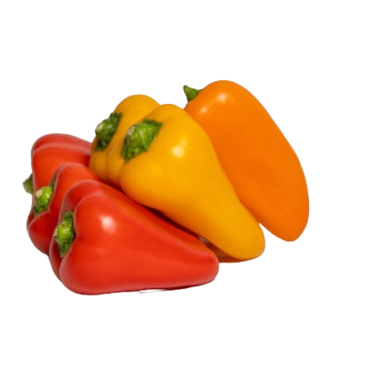 Pimiento Sweet Bite Tricolor