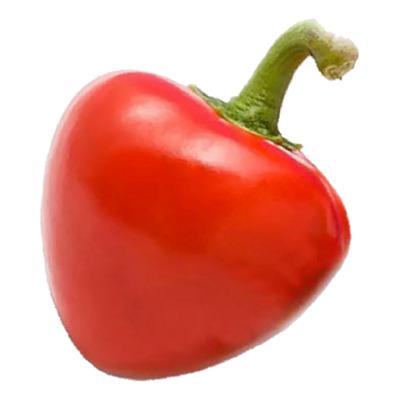 Pimiento Ñora