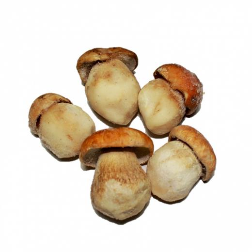 Boletus